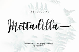 Mettadilla Script Font for Modern Editorial Design