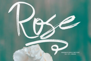 Rose Font Review: A Romantic Script for Campaigns